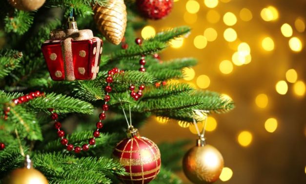 Eguberri ezberdina – Unas navidades diferentes.