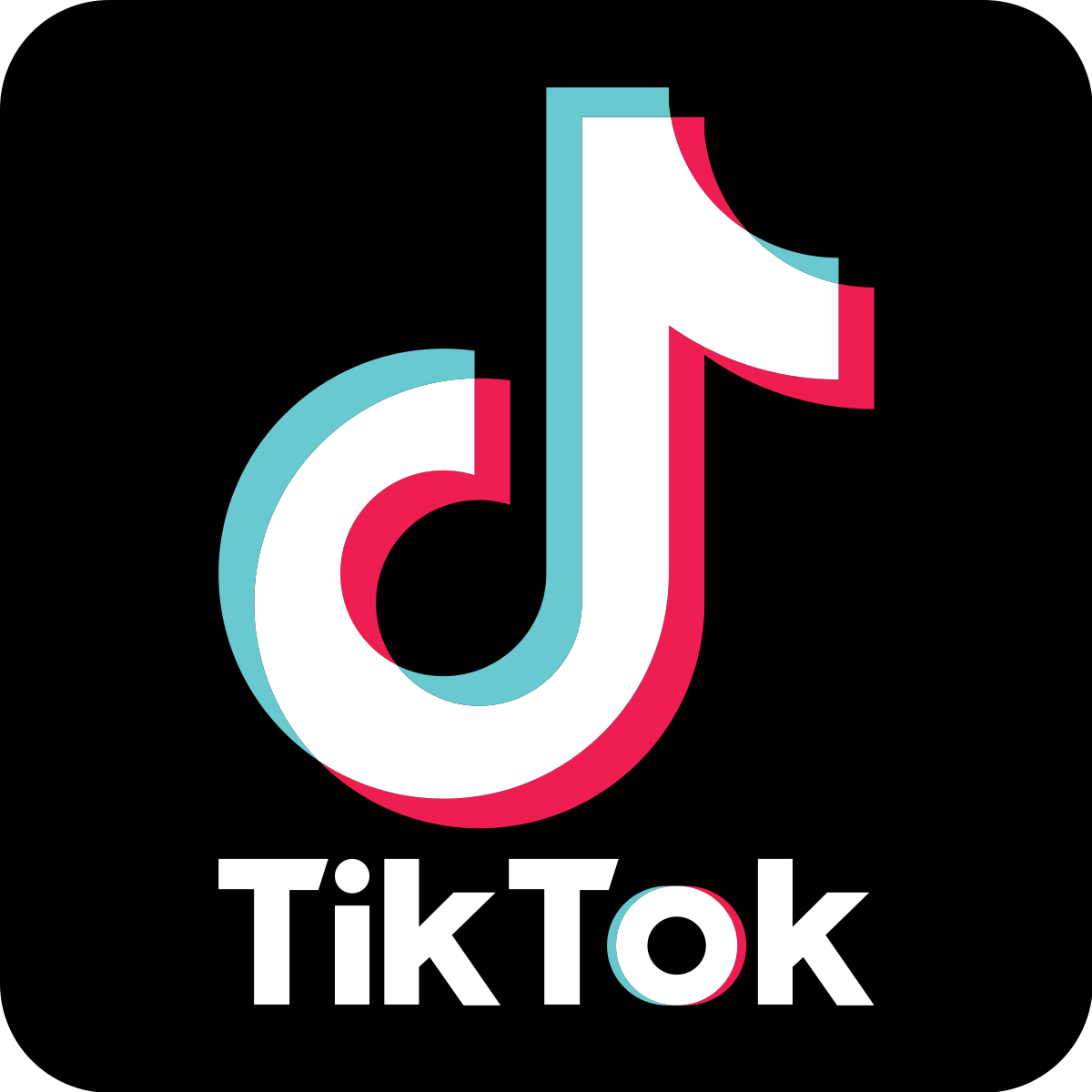 nl1984-logo-tiktok