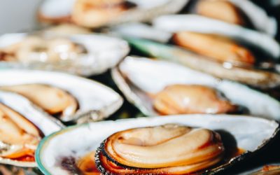 mejillones con salsa de azafrán y vino blanco