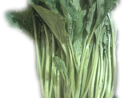 BORRAJA