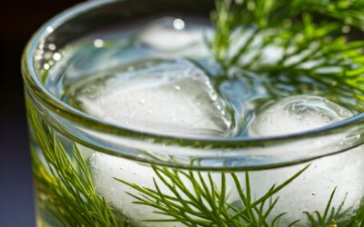 INFUSIÓN DE ENELDO