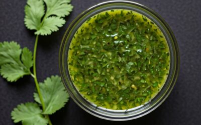 VINAGRETA DE CILANTRO