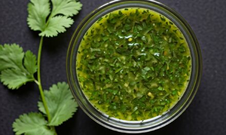 VINAGRETA DE CILANTRO