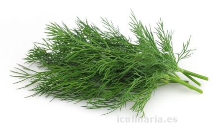 ENELDO